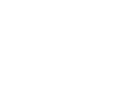 tiger-properties-logo-en4